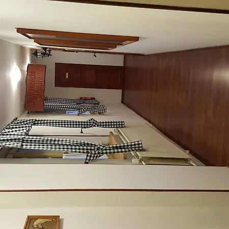 Отель Carpatia 3*