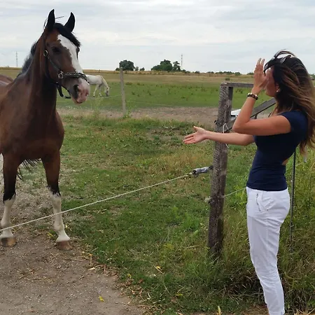 Отель Carpatia Братислава