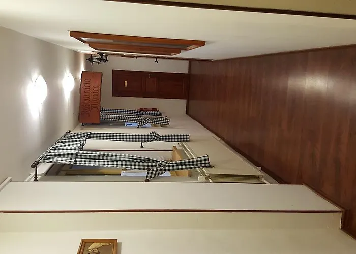 Отель Carpatia 3*