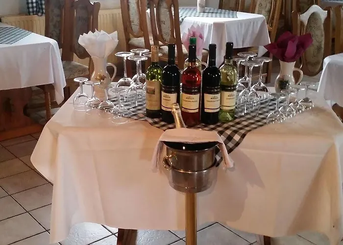 Отель Carpatia 3*