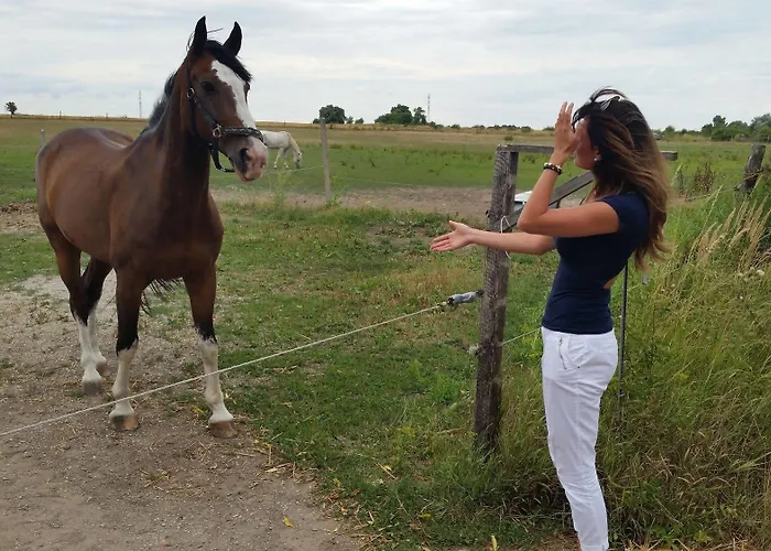 Отель Carpatia Братислава