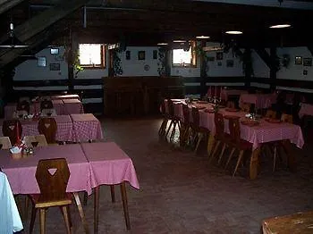 Carpatia מלון 3*