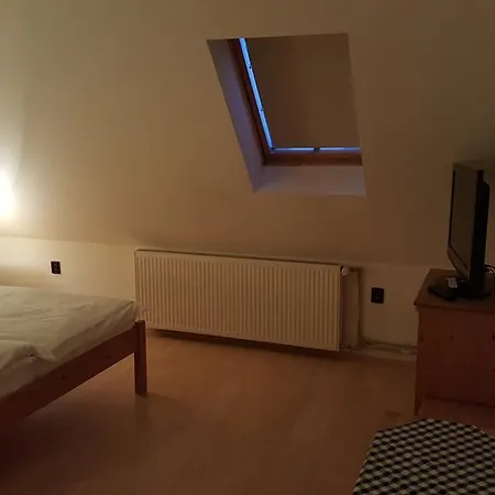 Carpatia Hotel 3*