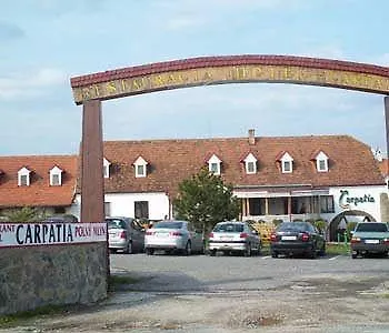 Hotel Carpatia 3*